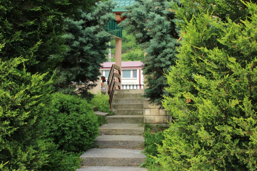 Guesthouse Eko Piva Plužine Ngoại thất bức ảnh